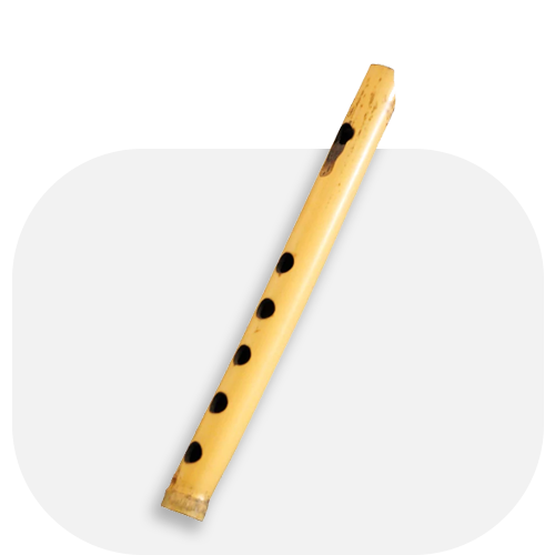 نی