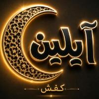 لوگوی فروشگاه کیف و کفش آیلین
