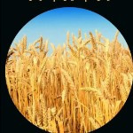 لوگوی فروشگاه سلامتی مثبت سبز