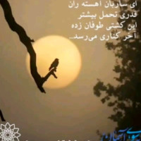لوگوی فروشگاه شاپ آمازون