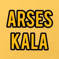 لوگوی فروشگاه آرسس کالا دهشیخ