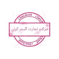 لوگوی فروشگاه شرکت تجارت گستر کیان