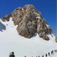 لوگوی فروشگاه آژوان
