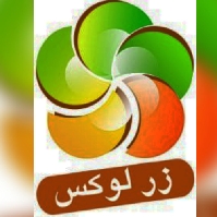 لوگوی فروشگاه اکسسوری زرلوکس